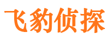 河间出轨调查